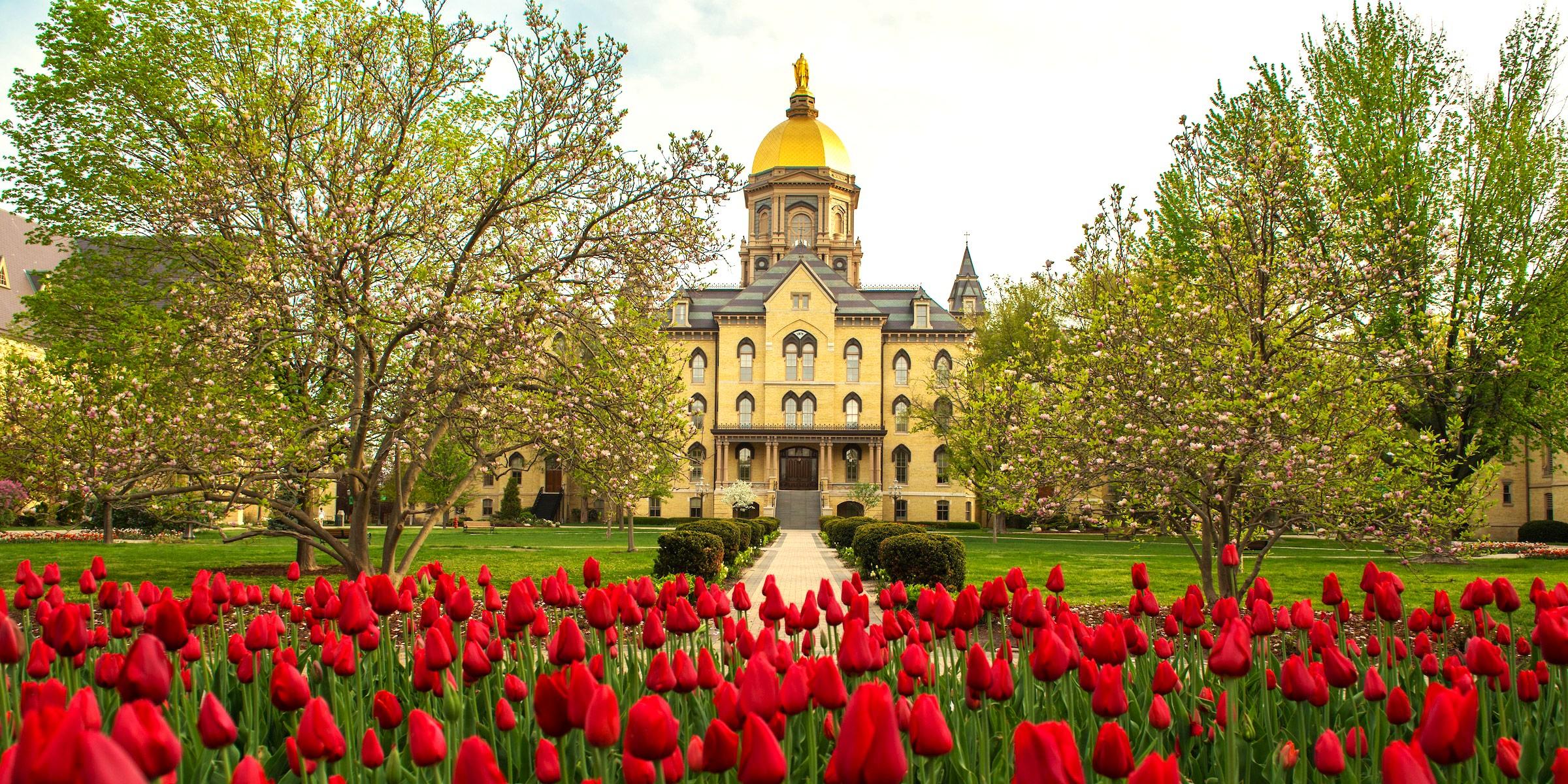 Campus of University of Notre Dame - Notre Dame, Indiana